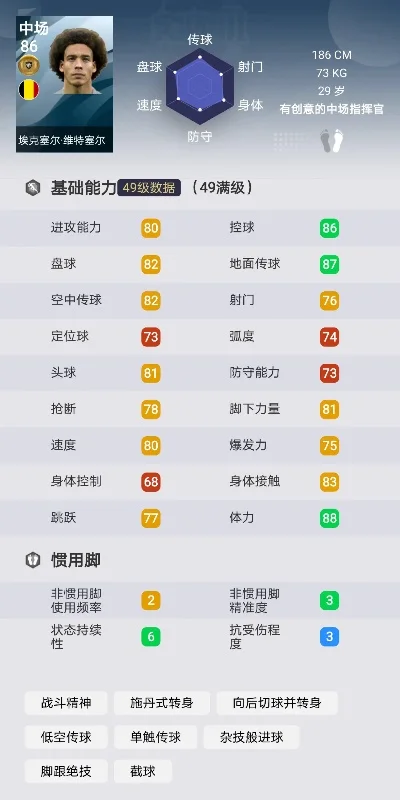 最强NBA球星大全及维特斯详解