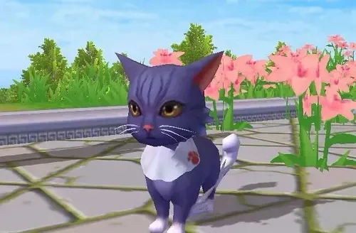 《创造与魔法》宠物猫获取攻略：轻松捕捉与饲养方法