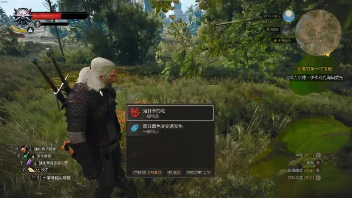 游戏MOD精选：提升冒险体验，丰富装备选择，优化战斗效率