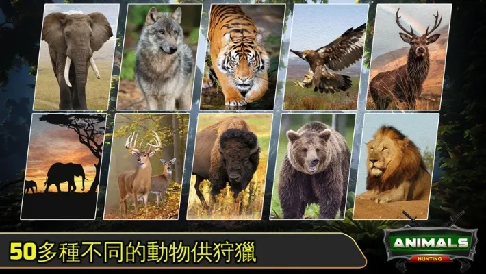 捕猎驯养类手游排行榜-捕猎驯养手游排行