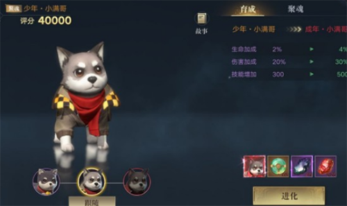 新盗墓笔记手游宠物进阶材料全解析