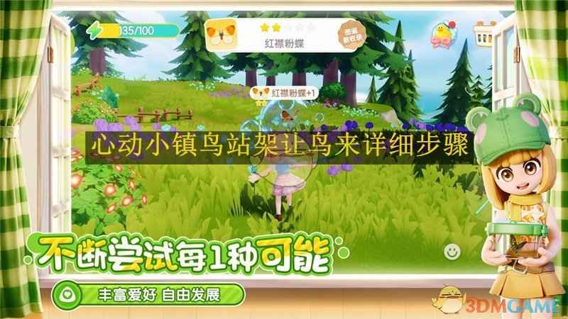 心动小镇鸟站架吸引鸟儿的秘诀：位置与鸟食是关键