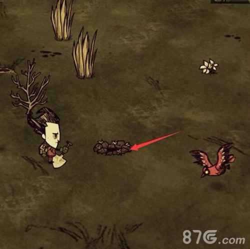 有哪些增加鼹鼠的方法