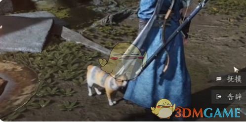 燕云十六声浣石浦猫咪位置详解
