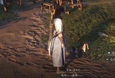 燕云十六声不羡仙猫咪藏身地