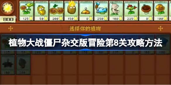 植物大战僵尸杂交版第8关通关攻略