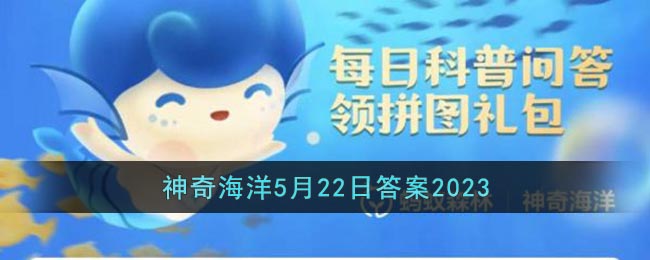 玻璃章鱼：透明海洋的神奇生物