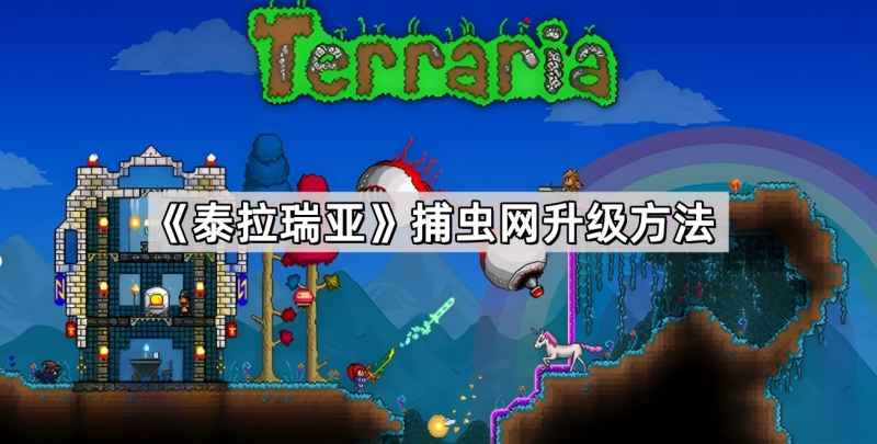 泰拉瑞亚捕虫网升级攻略：从普通到防熔岩，轻松捕捉宠物