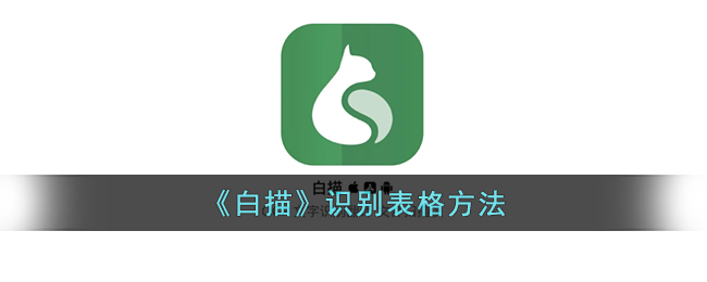 白描表格识别全攻略：步骤、技巧与实用功能详解