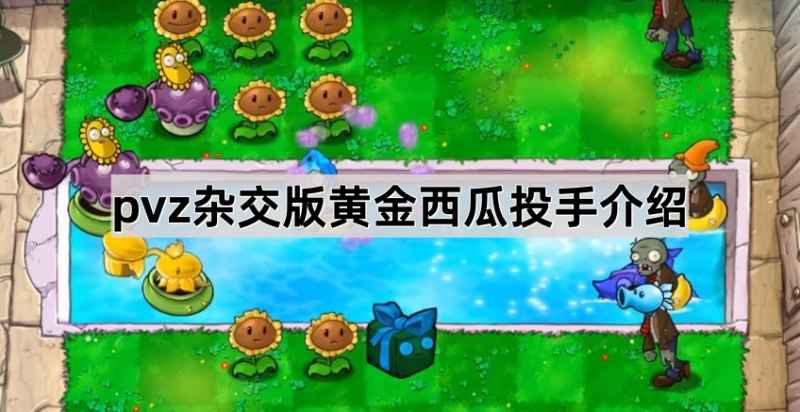 植物大战僵尸杂交版至尊金卡植物黄金西瓜投手深度解析