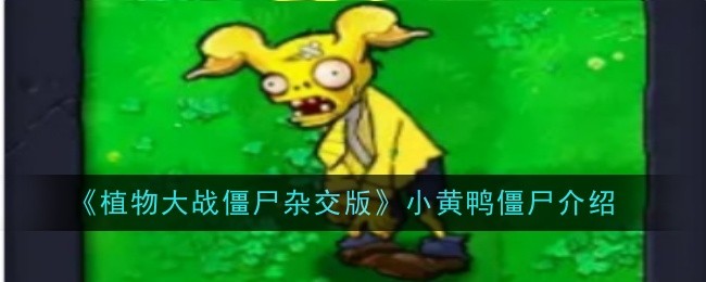 植物大战僵尸杂交版小黄鸭僵尸怎么样-僵尸介绍