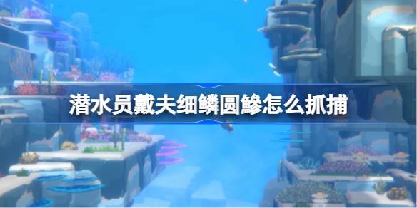 潜水员戴夫细鳞圆鰺抓捕全攻略：亚热带海域捕捉技巧与信息汇总