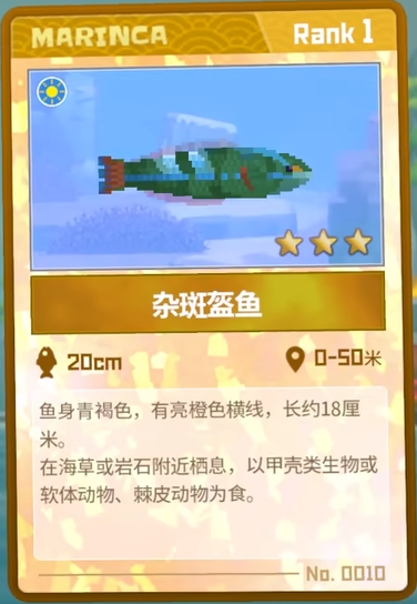 潜水员戴夫抓杂斑盔鱼的门道