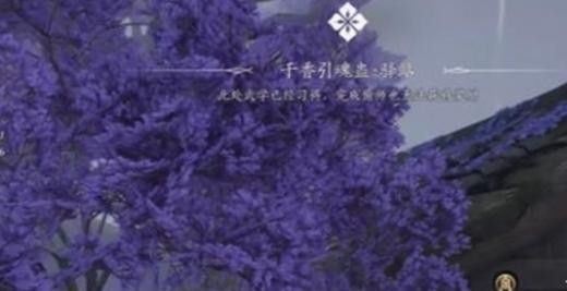 燕云十六声朝生暮落任务全解析