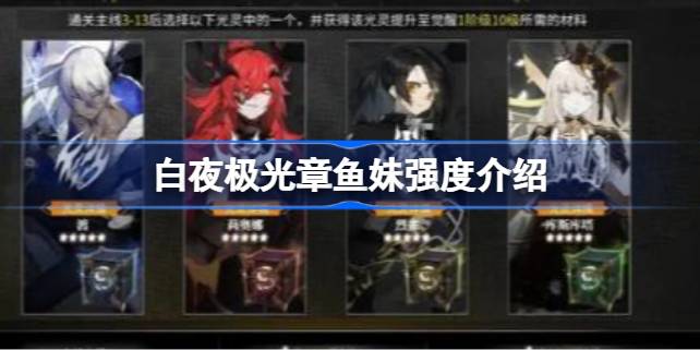 白夜极光章鱼妹强度深度解析：她到底有多强？