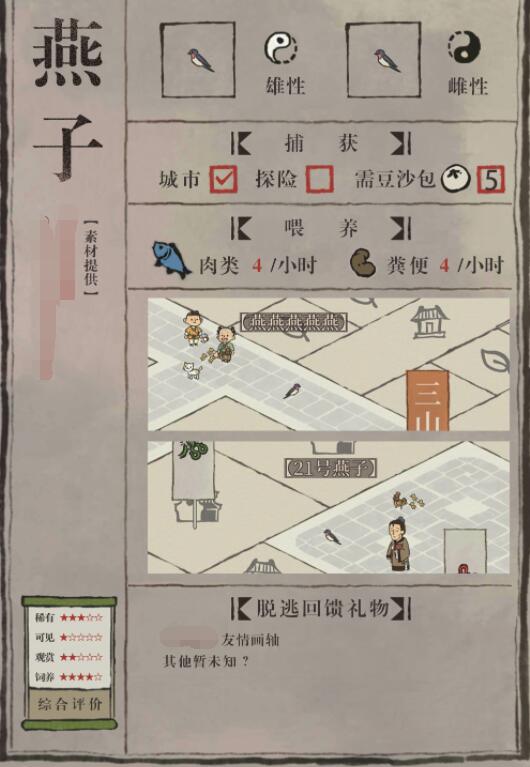 江南百景图：捕捉与养殖燕子的实用指南