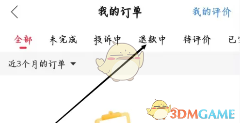 猎游App退款订单查询指南：轻松查看退款进度与状态