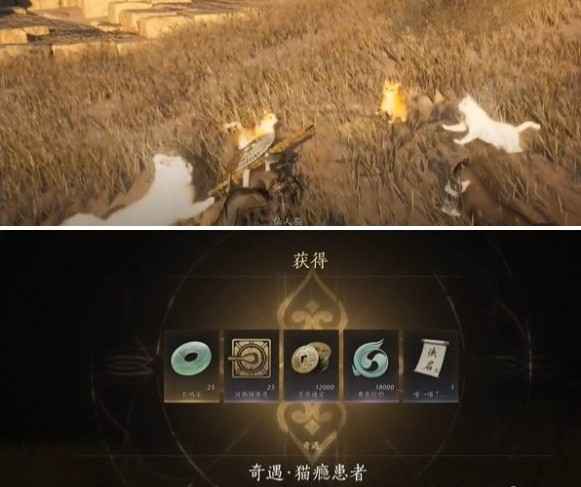 燕云十六声猫瘾患者奇遇攻略：详细步骤与完成方法