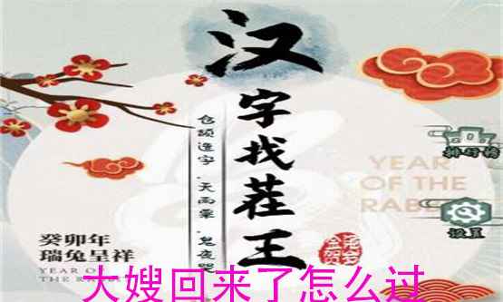 汉字找茬王大嫂回来了通关全攻略：细致步骤助你轻松过关