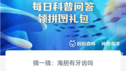 海胆的牙齿是个啥情况