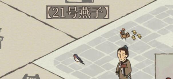 江南百景图：捕捉与养殖燕子的实用指南