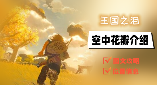 王国之泪空中花瓣获取指南：任务流程与岛屿寻找方法