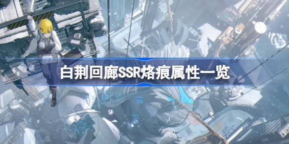 白荆回廊烙痕的用途与属性详解