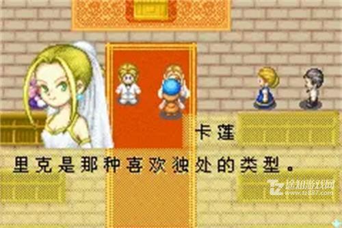 牧场物语矿石镇的伙伴们：实用金手指代码分享（含金钱、好感度、物品等全攻略）