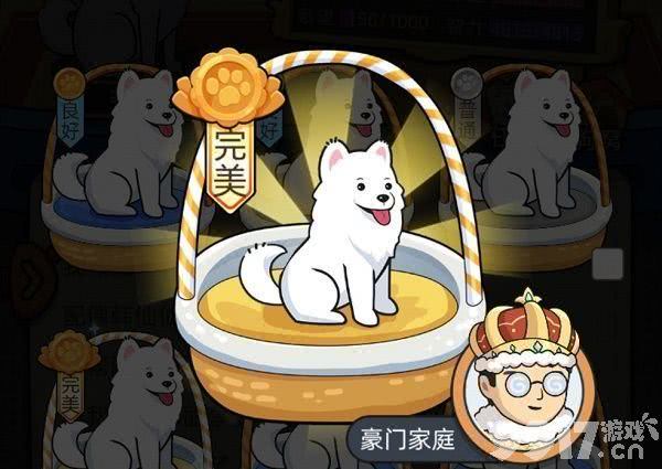 狗生模拟器进富人区攻略：属性、基因与策略全解析