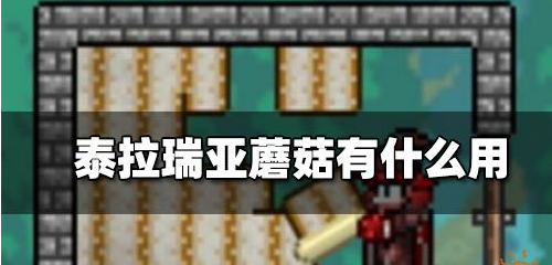 泰拉瑞亚蘑菇的作用与获取全解析