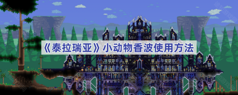 泰拉瑞亚小动物香波使用方法详解