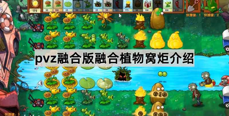 植物大战僵尸融合版融合植物窝炬深度解析