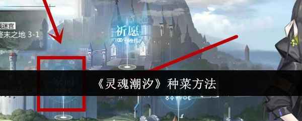 灵魂潮汐种菜全攻略