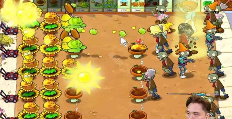 植物大战僵尸杂交版冒险模式第29关通关策略与心得