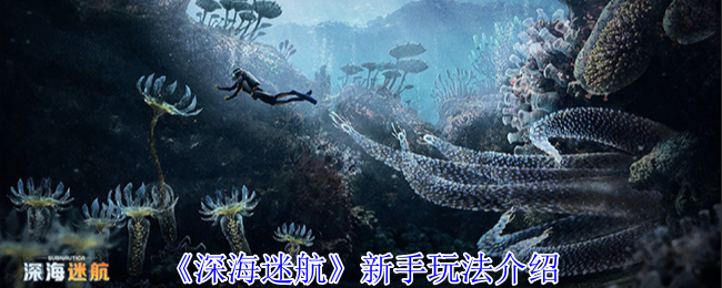 深海迷航新手怎么玩-新手玩法介绍