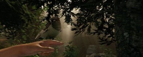 森林联机朋友存不了档是怎么回事