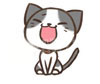 猫咪毛色大揭秘：游戏中的毛色魅力与选择之道