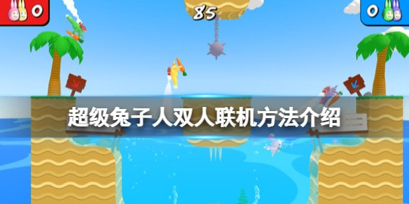疯狂兔子人双人联机玩法全攻略：合作抓萝卜、翻滚闯关，乐趣无穷
