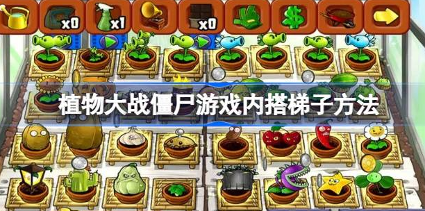 植物大战僵尸搭梯子全攻略