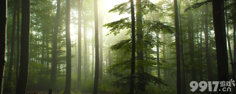 森林生存游戏作弊码全解析：轻松调整游戏难度，畅享自由体验