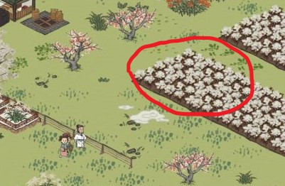 江南百景图天然棉获取全攻略