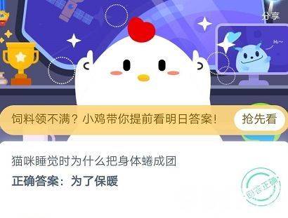 猫咪蜷成团睡觉的秘密：保暖、保护与舒适