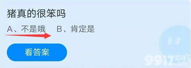 猪真的很笨吗？真相是：它们其实很聪明