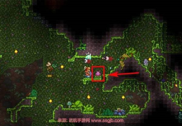 泰拉瑞亚星魂的获取与用途全解析