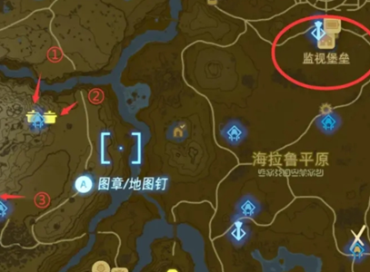 毅力胡萝卜的四个采集地点