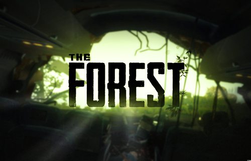 森林之子联机失败怎么办:解决网络与文件问题