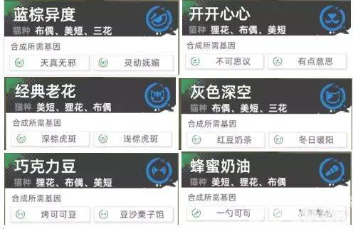 猫之城极品基因合成公式全解析