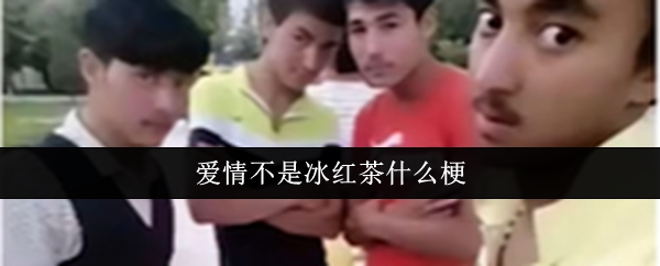 爱情不是冰红茶：源自维语梗，寓意珍惜不留憾