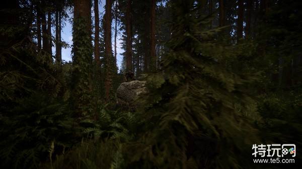 森林之子呼吸器和电击枪的位置分享