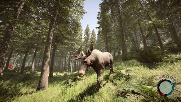 森林之子帐篷回收全攻略